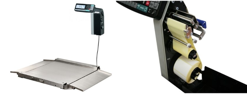 Технические характеристики весов платформенных с пандусом с печатью Масса-К 4D-LA.S-1010-RL.jpg
