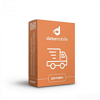 ПО DataMobile Доставка - подписка на 12 месяцев